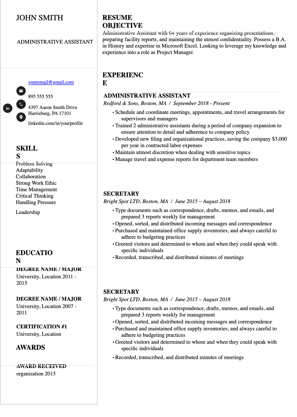 Executive Resume Templates preview